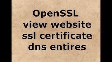 how to view website ssl certificate dns entires using openssl