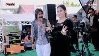 CAMELIA MUSIC - BOJO LORO - MALA Ft LUKITO - KHITAN SYAILENDRA - MULYOHARJO JEPARA