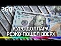 Доллар и евро прибавляют в цене. Чего дальше ждать на валютном рынке?