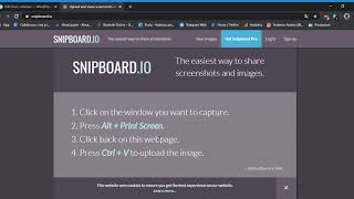 How to make screenshot on pc with Snipboard