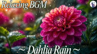 Download lagu Dahlia Rain ~ Relaxing BGM for Study & Work ~ 1 Hour Instrumental