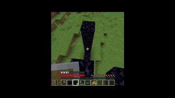 Minecraft Logic: Nether Portal Edition #minecraft #minecraftfunny #gaming #minecraftfunnyshorts