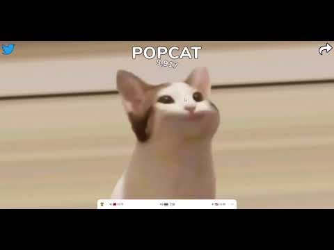 POPCAT ช่วยยังไงให้คอมพังภายใน5นาที