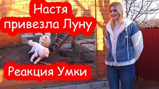 VLOG Разбираю вещи. Нашествие дохлых мышей