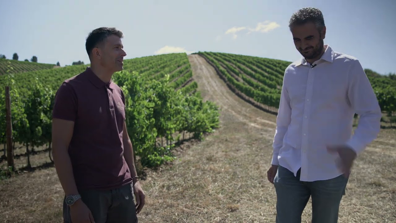 Comprar El Zarzal | Vino Blanco Bodegas Emilio Moro