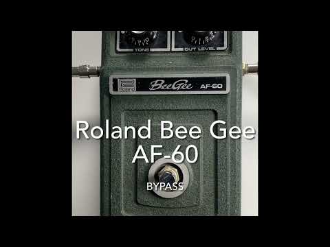 ギター Roland 70's BeeGee AF-60 FUZZ SUSTAINER Roland 70's Bee Gee AF-60 - グリーン - ハイパーギターズ