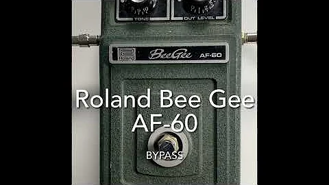 '70s Roland AF-60 Bee Gee