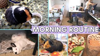 My Day Off With My Guinea Pigs! | Guinea Pig Morning Routine + Cage Cleaning