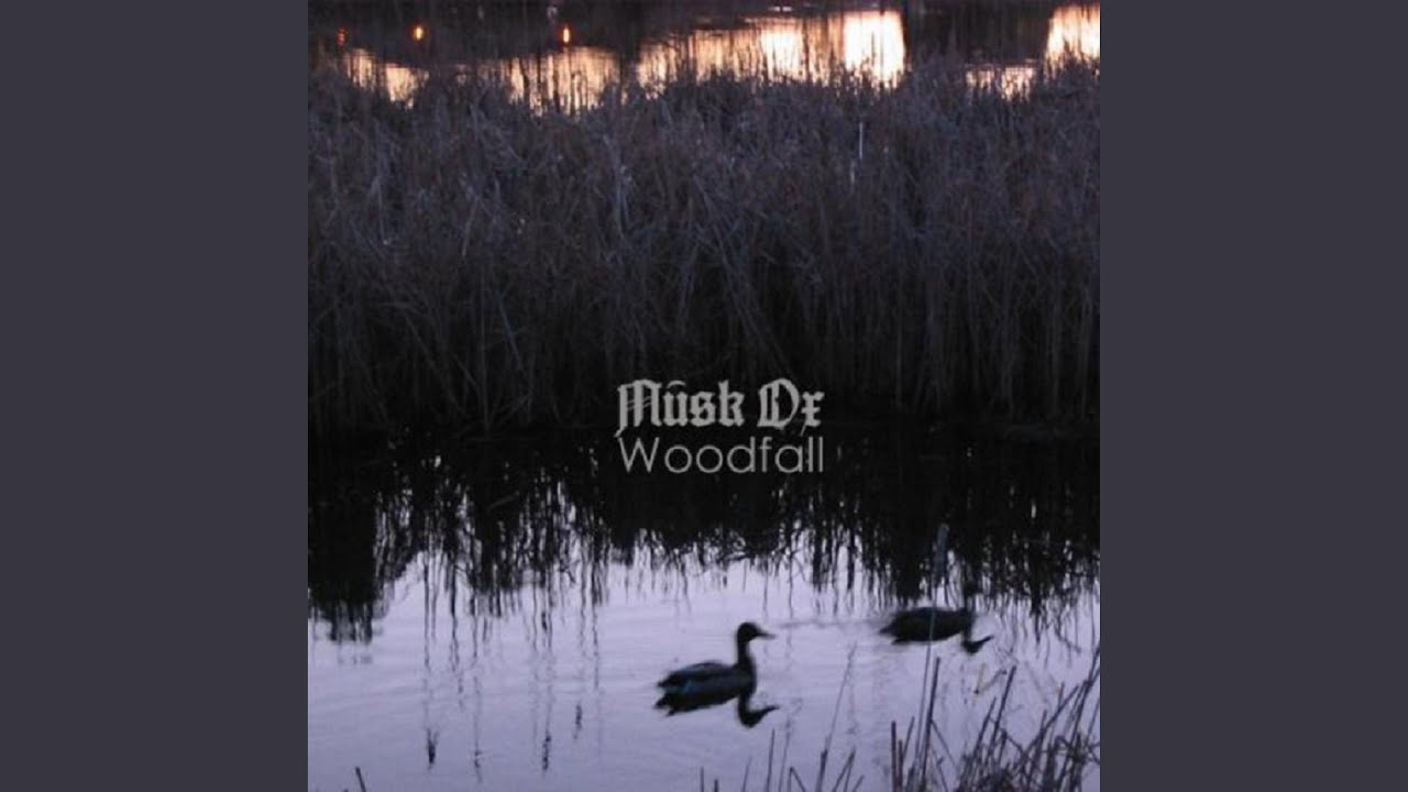 Watch Windswept on YouTube Watch Windswept on YouTube
