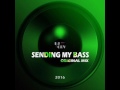 Dj grv  sending my bass original mix official music