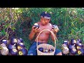 Finding Fruits In The Forest Meet The Sugar Palm Juice Is Hungry Fruits