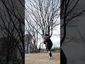 She’s heavy or he’s old😂 #shorts #youtubeshorts #shortsvideo #comedy #couple #viral