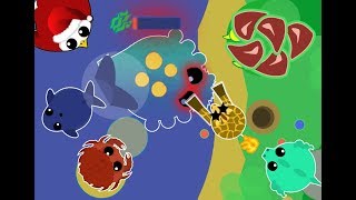 Mope.io Giraffe Trolling Montage Developer Eagle With Hacks Sighting Mope.io Funny Moments