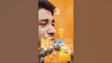 كايلها مولاي الرضا كلمه وتعيش أبالي الرادود محمد الجنامي 