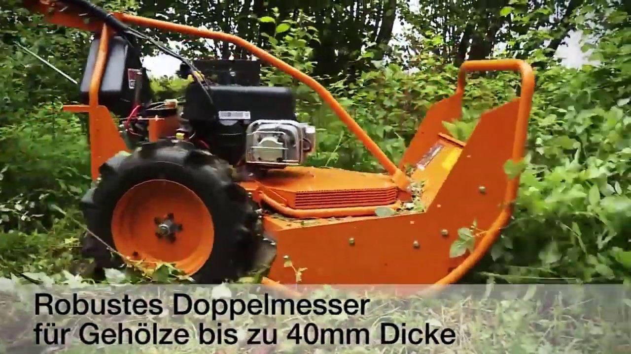 Косилка для высокой травы и кустов AS-Motor AS 65 Scout