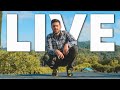 Live dall'orto. Rispondo alle domande
