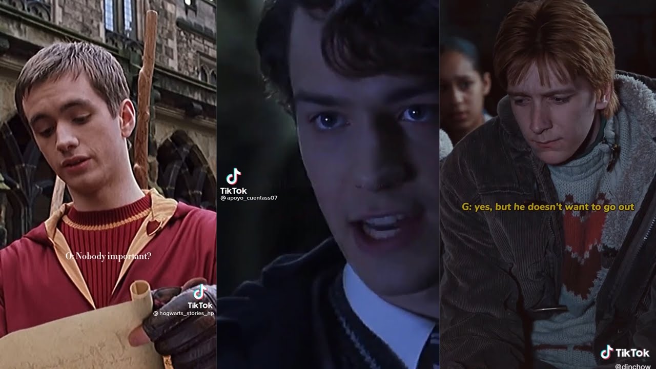 Harry Potter Boys x Y/N TikTok POV YouTube