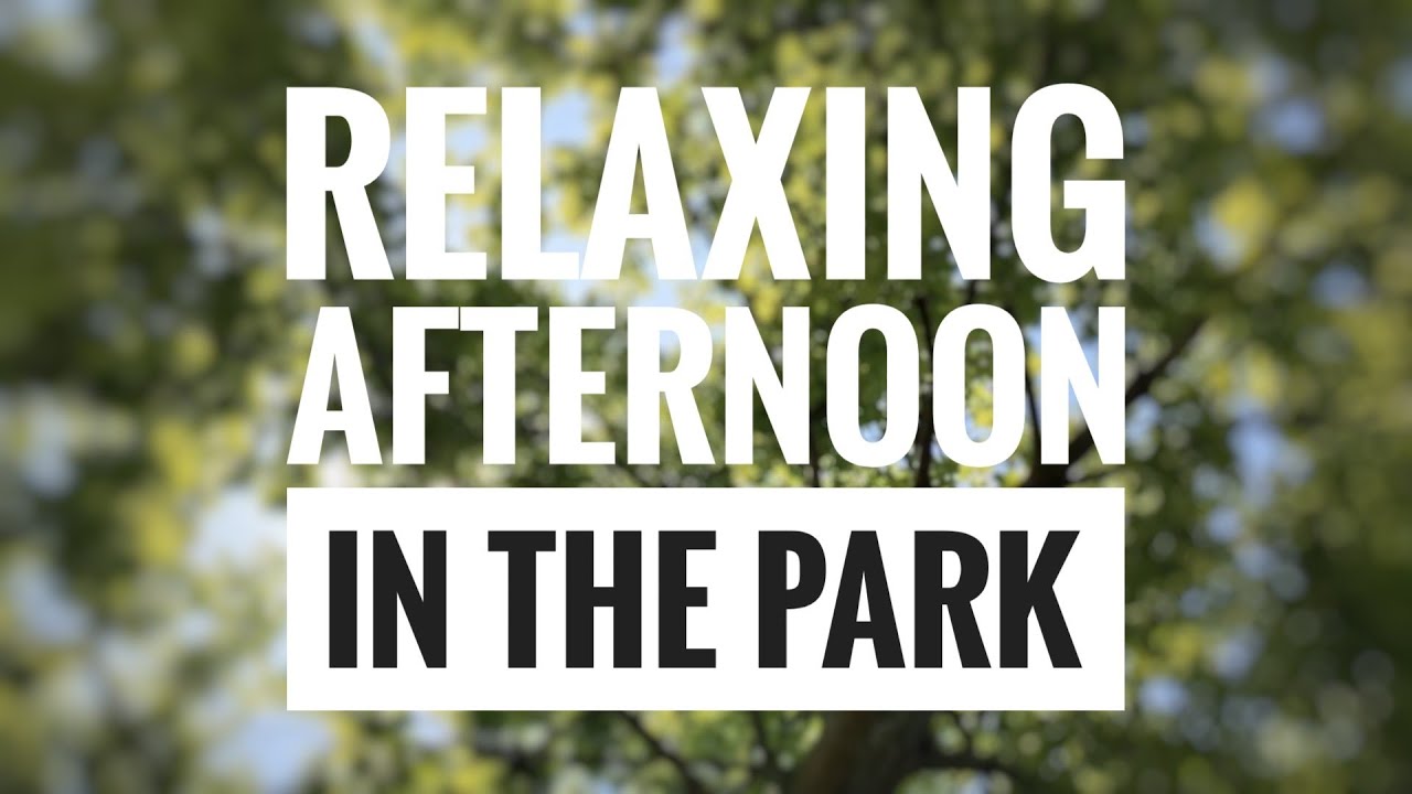 A relaxing afternoon in the park