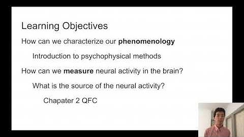 How can we characterize our conscious experience?