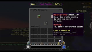 Deleting Hypixel Account