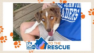 16 To The Rescue: Firefox