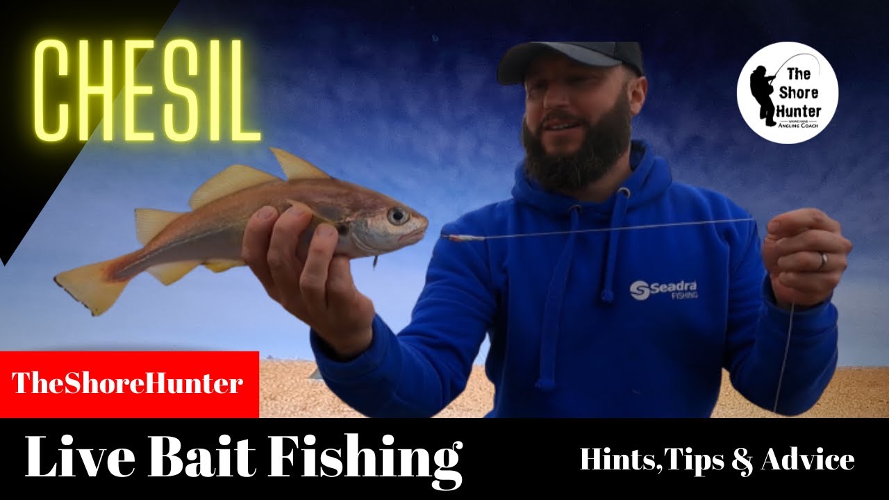 Live bait Fishing Chesil Beach Dorset Cod Fishing Shore Beach Angling