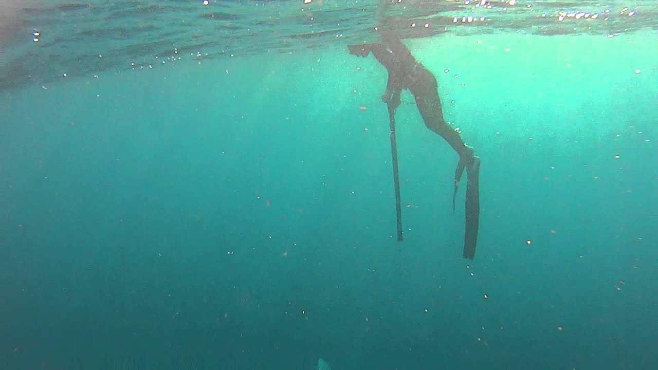 Spearfishing Spanish Mackerel YouTube