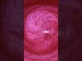 Pink dance for you#shorts #wax #glitter