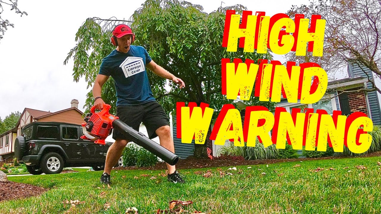 I BOUGHT AN ECHO PB 2520 LEAF BLOWER AND WAS BLOWN AWAY - YouTube