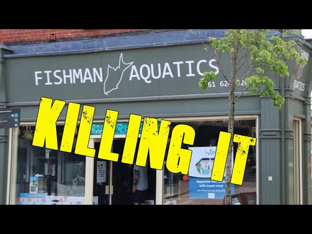 Fishman Store
