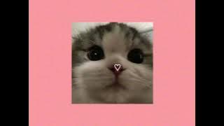 blondie - current joys - sped up