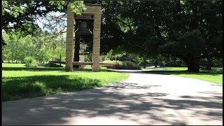 Welcome Home Norse!