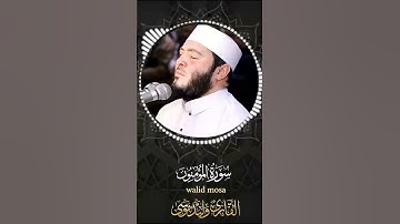 سورة المؤمنون  وليد موسى تلاوة تهز القلوب Surah Al-Mu'minoon Walid Mousa Quran  #اكسبلور #المصحف