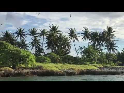 Video: Palmyra Atoll Island - One Of The Most Anomalous In The World - Alternative View