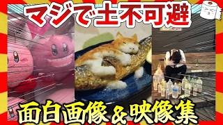 Download Lagu 【🔥爆笑】マジで土不可避!面白画像&映像集!ガルちゃんまとめ/2ch MP3 Download Lagu 【🔥爆笑】マジで土不可避!面白画像&映像集!ガルちゃんまとめ/2ch MP3