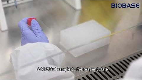 2019 Novel Coronavirus 2019 nCoV  RT qPCR Detection Kit Operation Video