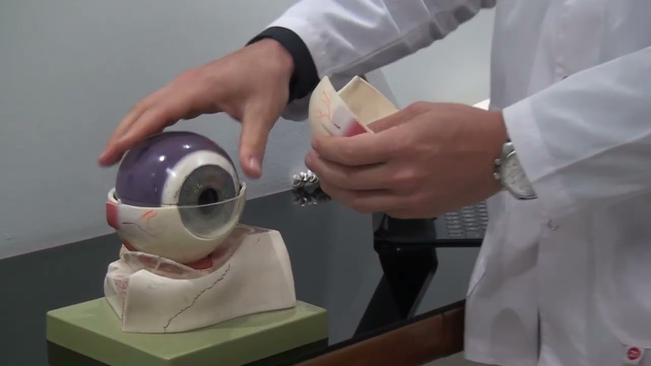 Micro del Centro de la Visión con el Dr. Ignacio Magnetto