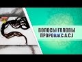 Волосы пророка ﷺ | Максатбек Каиргалиев (2-серия)