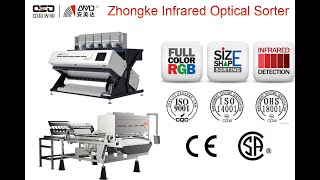 Infrared optical sorter for walnuts(first sorting)