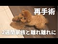 【 健康祈願 】こんなことになるなんて…😔
