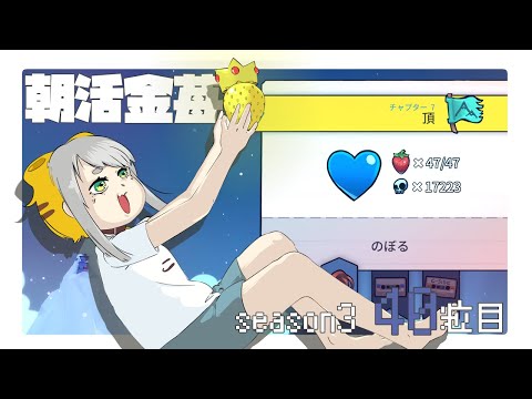 【Celeste 7-A】朝活金苺チャレンジ season3 40粒目【Vtuber/虎爺(こや)】