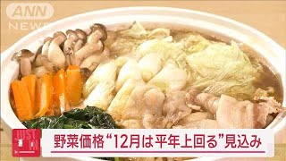 【速報】12月の野菜価格“平年上回る”見込み トマト・キャベツは？明るい兆しも【スーパーJチャンネル】(2024年11月29日)