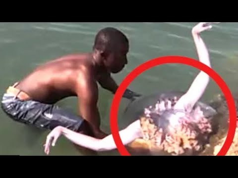 Rusape Man fight!ng wth a mermaid tdy after it had taken his goats.  The village is in shock