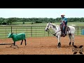 Team Roping Heeling Tips - Slow and Collected Machine Work
