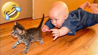 You Definitely Laugh,Trust me    Funniest Cats And Dogs Expression Video  Funny Cats Life