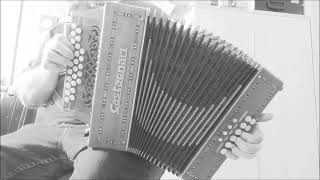 Lily's March / Linden Lea played by Clive Williams on Melodeon