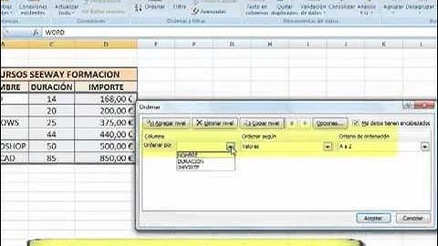 TUTORIAL EXCEL 2007 - ORDENAR DATOS.flv