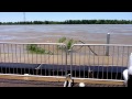 Tuba Skinny au Casino de Châtel-Guyon - Mississippi river ...