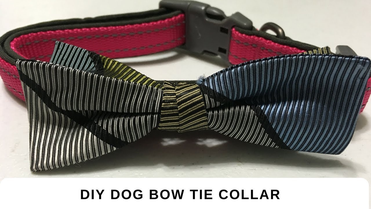 DIY Dog Bow Tie Collar YouTube DIY Dog Bow Tie Collar YouTube