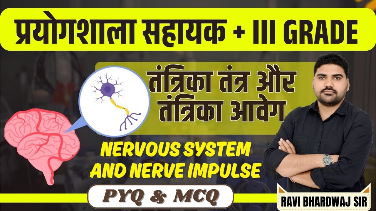 Nervous System & Nerve Impulse | Complete PYQ + MCQ | Lab Assistant & 3rd Grade Biology Class